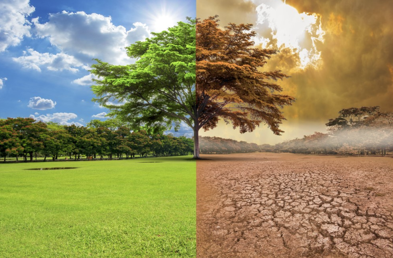 Cambio climático, con peores efectos económicos que la pandemia