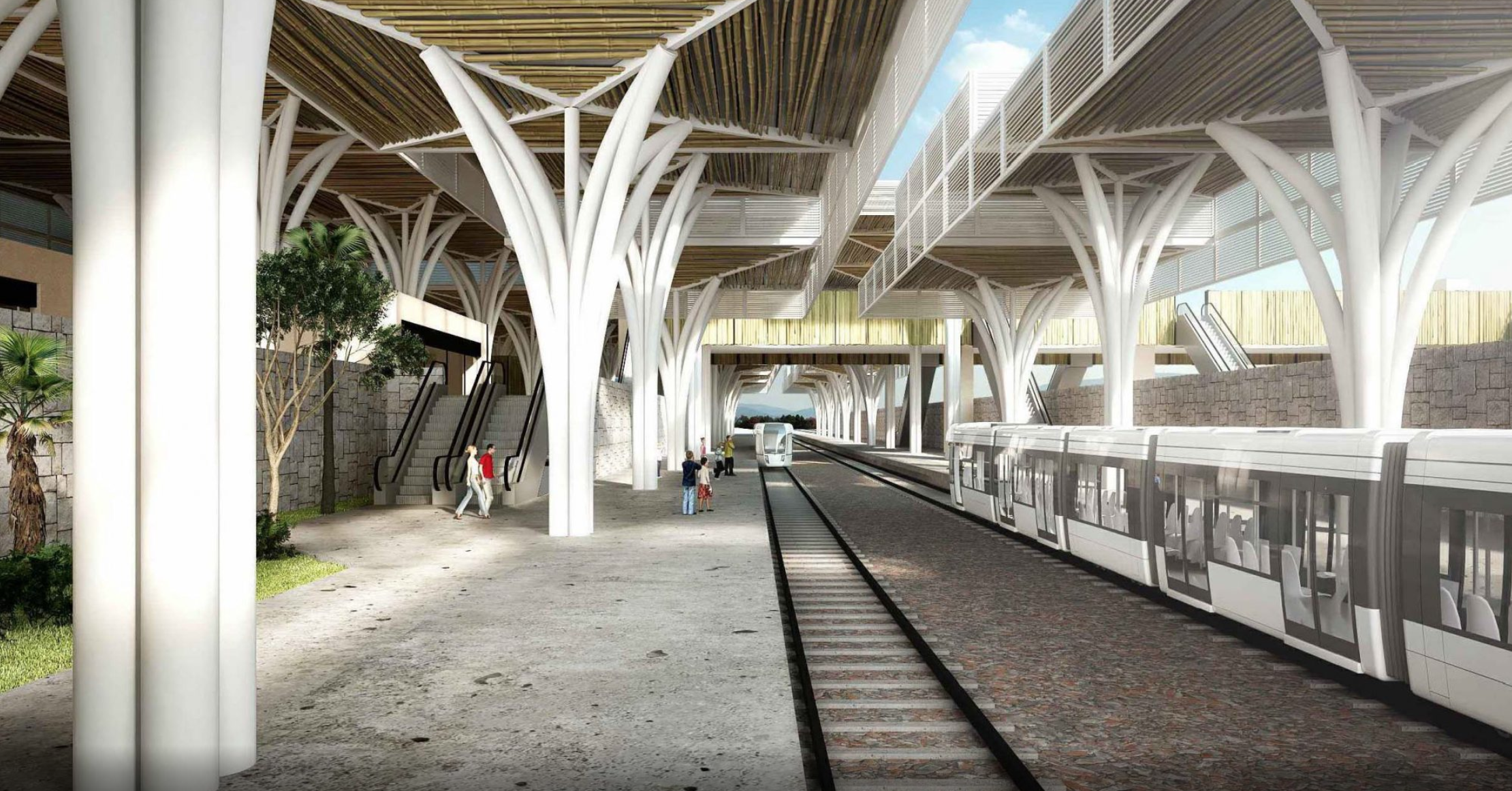Arrancan este año obras del Tren Maya en Puerto Morelos