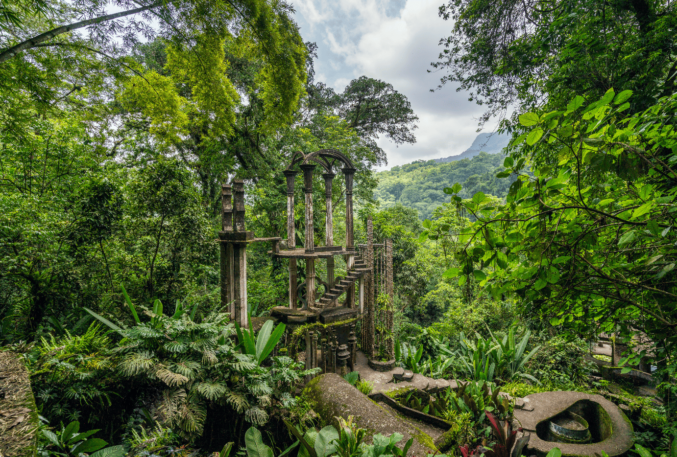 El Jardín Escultórico Edward James conmemora el Día Internacional de los Bosques Tropicales