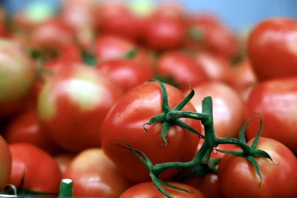 Trump ahora va contra el tomate mexicano: EU alista arancel del 20.91 por ciento
