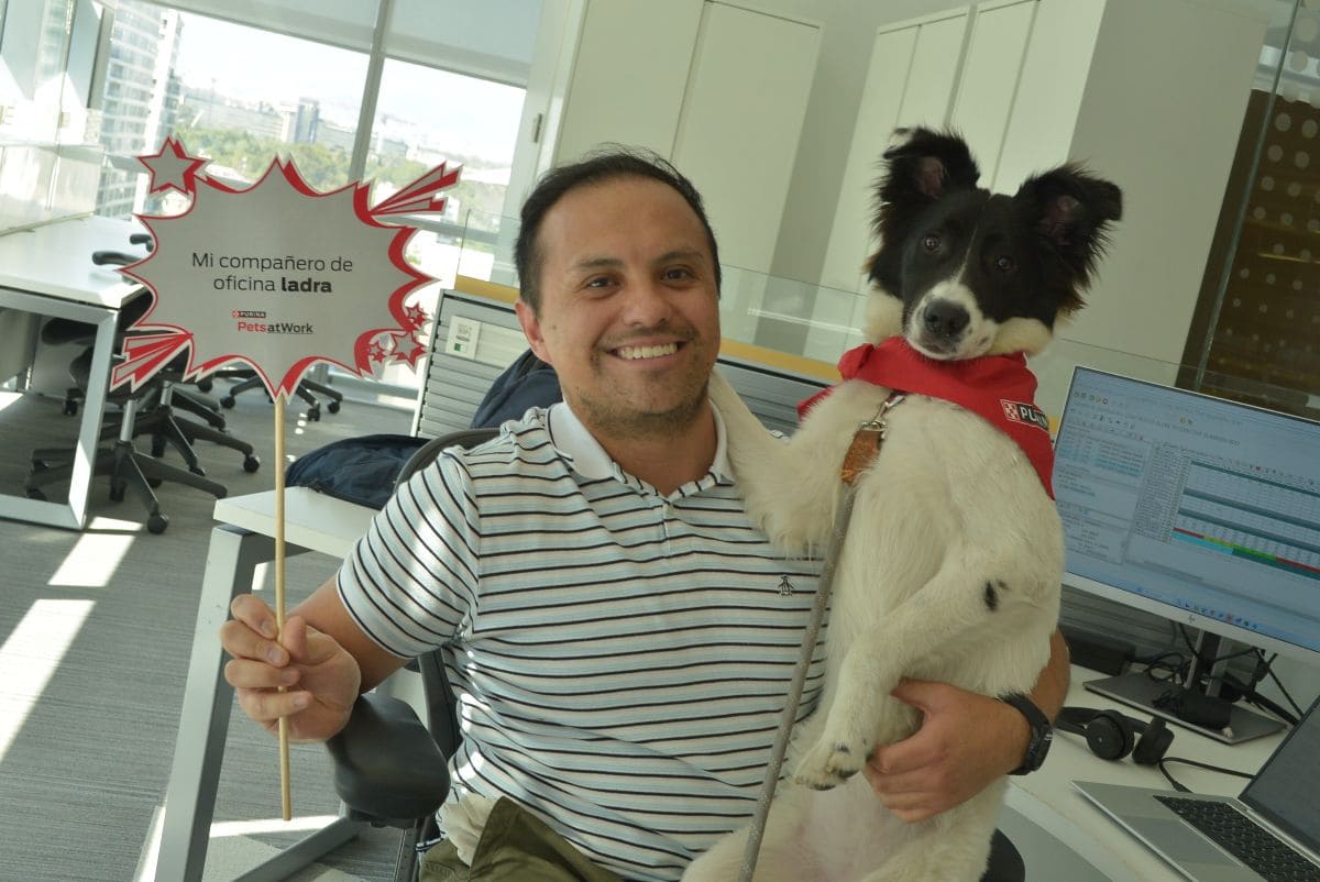 Pets at work: beneficios de espacios pet friendly