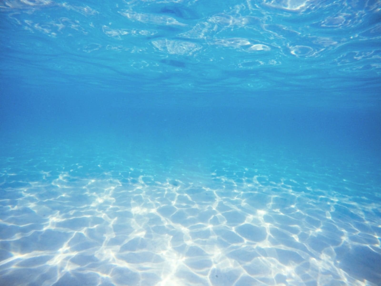 Cuencas oceánicas, fundamentales para la circulación del agua marina
