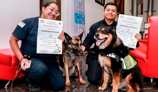 Yoko, Joy, Orión, Wera y Eragon salvan a México de plagas y enfermedades