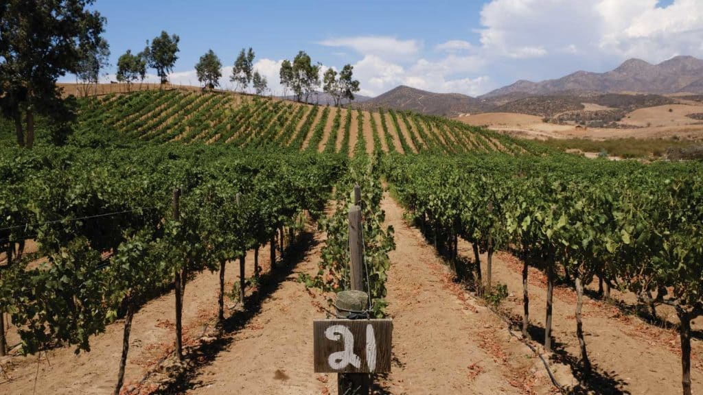  Recibirá el Foro internacional Agroindustria total respaldo de las delegaciones de Canacintra en BC