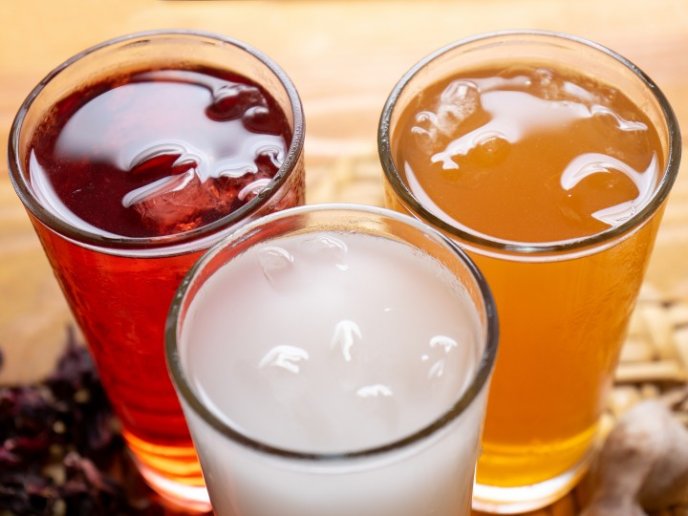 Bebidas mexicanas refrescantes para este calor por el chef Jorge Carlos Fernández Francés 