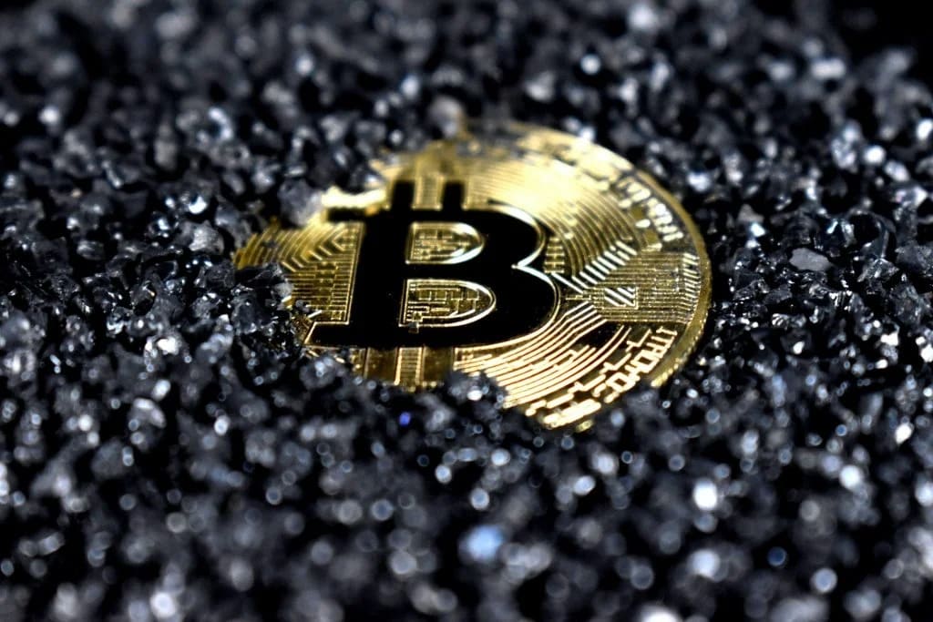 ¿Qué quieren saber las y los mexicanos sobre cripto? Bitso revela las tendencias de búsqueda web sobre el sector