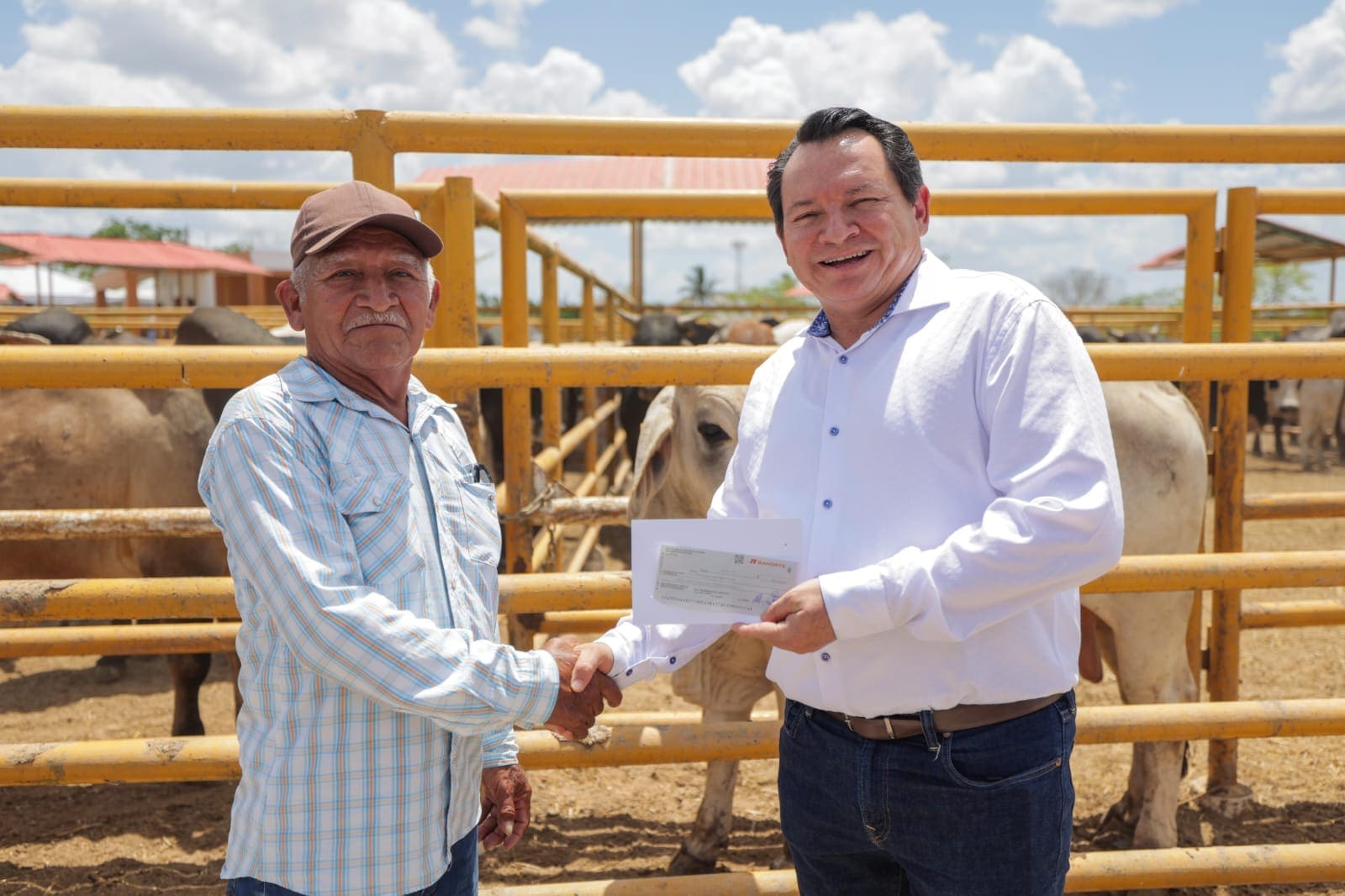Impulsa Gobernador Joaquín Díaz Mena el renacer de la ganadería yucateca