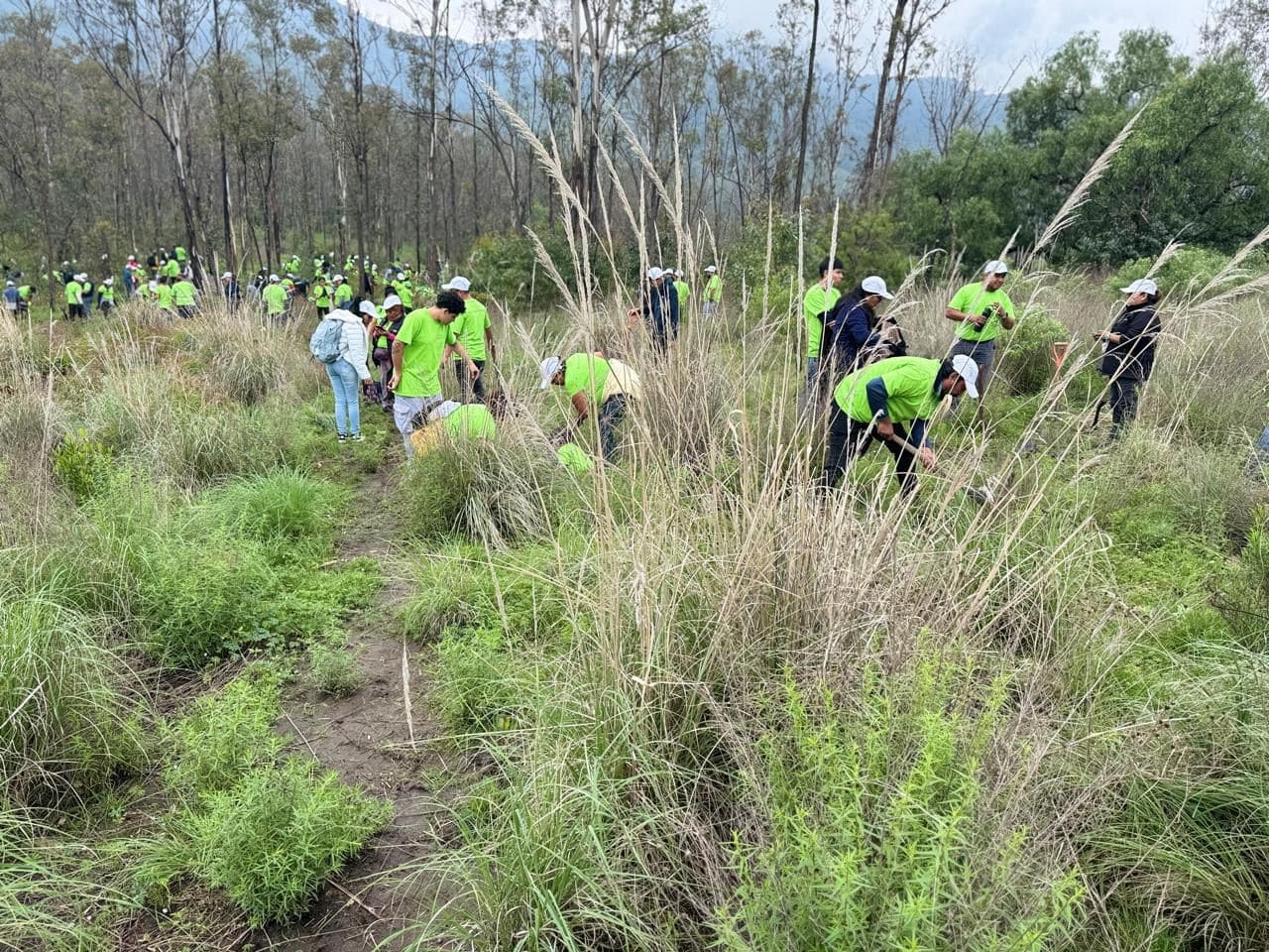 Fundación Traxión impulsa acciones colectivas en México