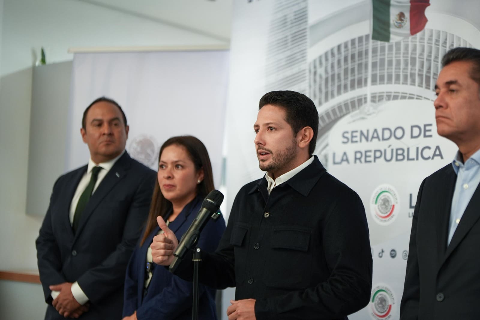 Partido Verde Ecologista celebra la suspensión del cuarto muelle en Cozumel