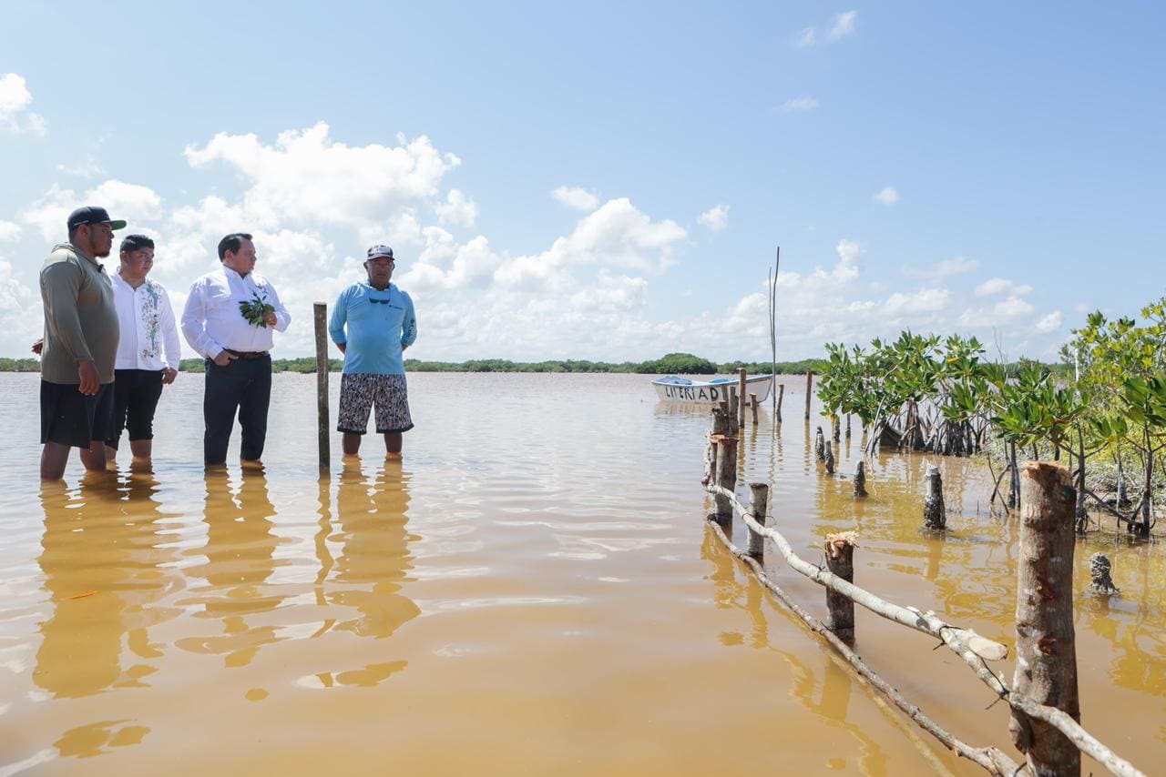 Yucatán lanza estrategia integral para restaurar ecosistemas costeros