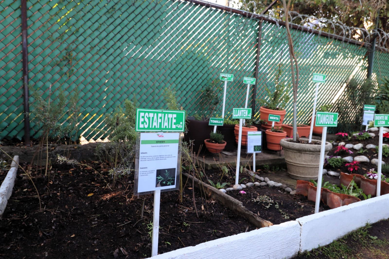 Atizapán reconoce al Club de Golf Bellavista por reducir 75 por ciento de sus residuos