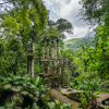 El Jardín Escultórico Edward James conmemora el Día Internacional de los Bosques Tropicales