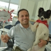 Pets at work: beneficios de espacios pet friendly