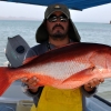 El 84 por ciento de las pesquerías en el país están sobreexplotadas: Comepesca