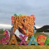 Oaxaca se hermana con Baja California a través de su riqueza gastronómica, cultura y tradición