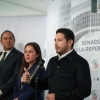 Partido Verde Ecologista celebra la suspensión del cuarto muelle en Cozumel