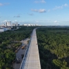 Beneficiará puente vehicular Nichupté en Cancún  a más de 1.3 millones de habitantes