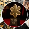 Guía Michelin México 2026 impulsa nuevos polos gastronómicos, afirma Hugo Miguel Vignola Palma
