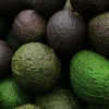 ¿Por qué sube el aguacate? José Eduardo López Portillo apunta a los problemas estructurales de la economía mexicana